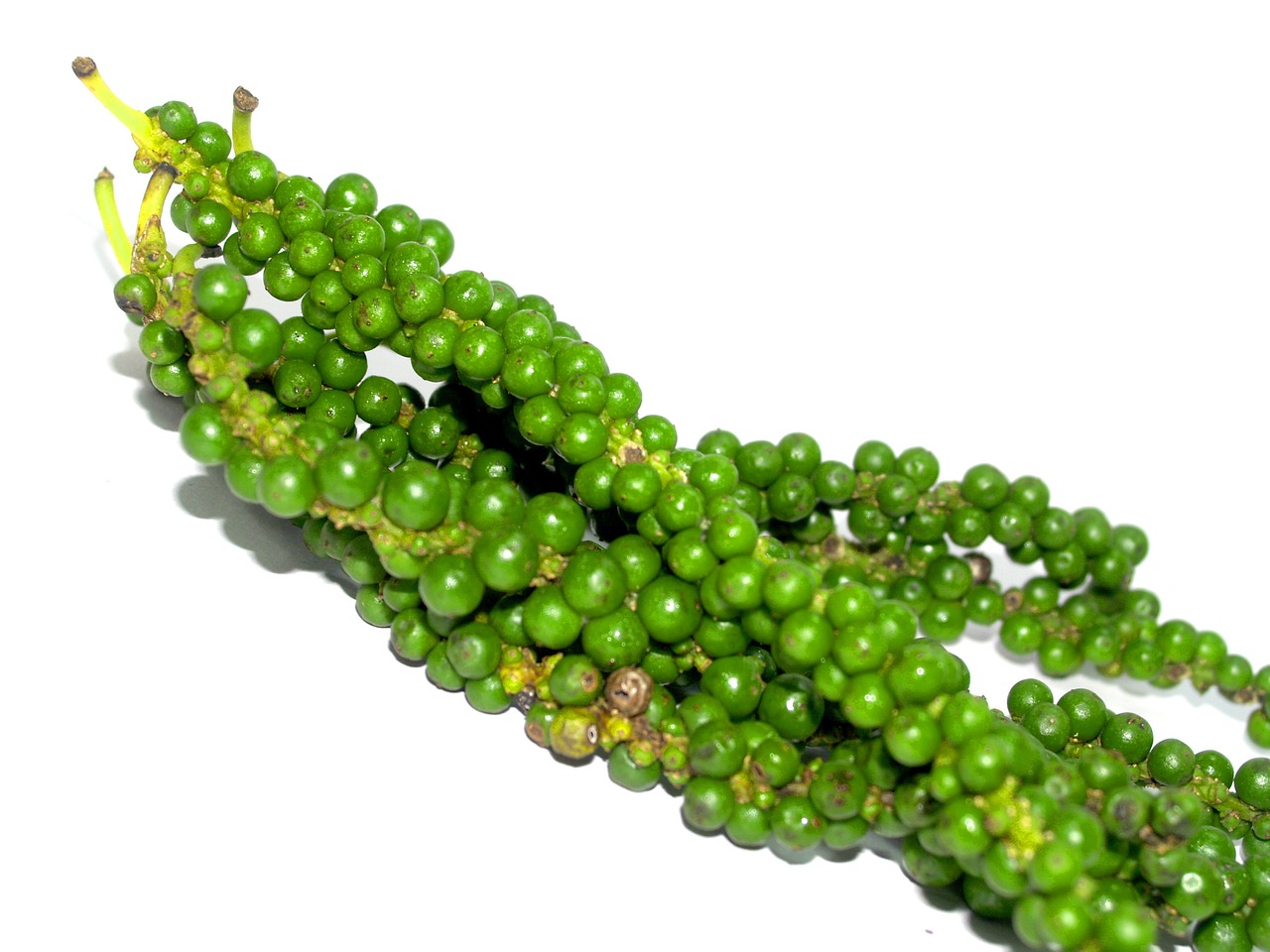 The Science of Antioxidants - Protecting Your Health